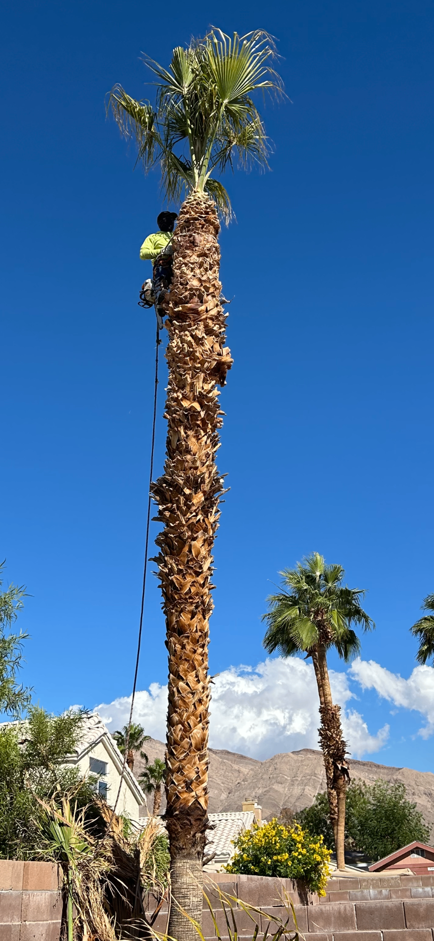 Miguel Contreras, owner of M.C Landscaping.